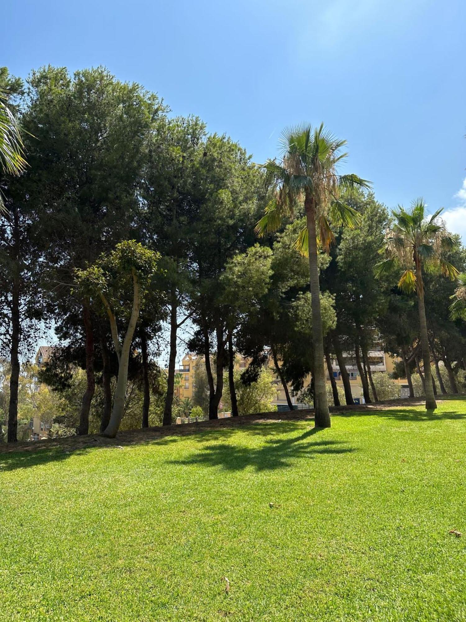 Benalmadena Gamonal Daire Málaga Dış mekan fotoğraf